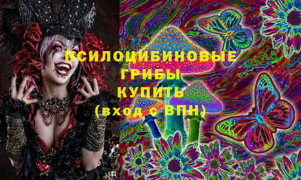 мяу мяу мука Алзамай